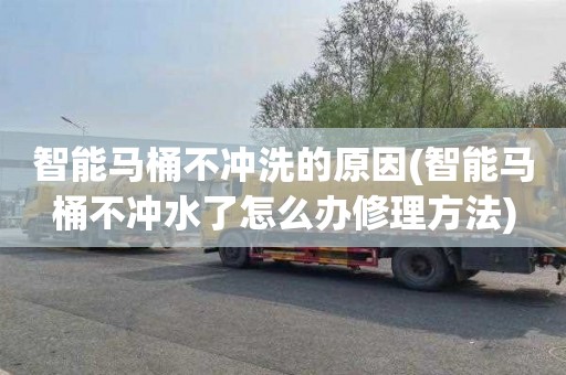 智能马桶不冲洗的原因(智能马桶不冲水了怎么办修理方法)
