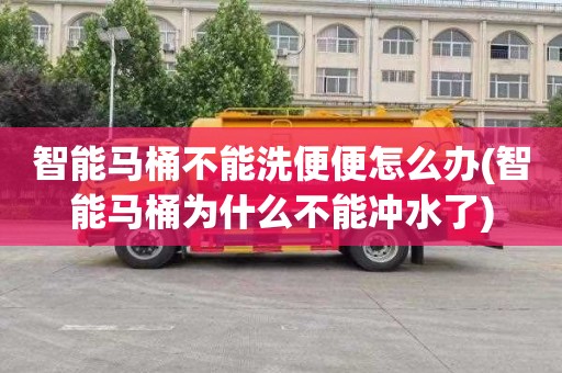 智能马桶不能洗便便怎么办(智能马桶为什么不能冲水了)