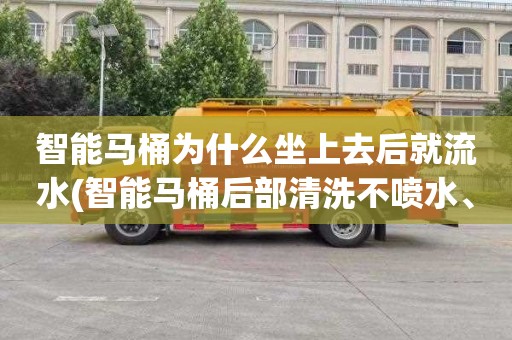 智能马桶为什么坐上去后就流水(智能马桶后部清洗不喷水、只流水)