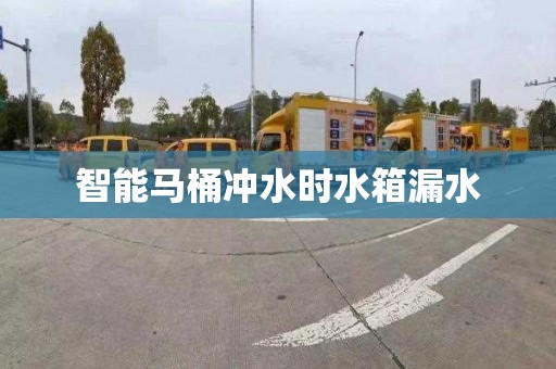 智能马桶冲水时水箱漏水