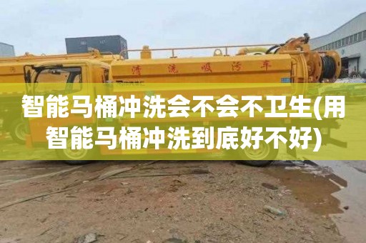 智能马桶冲洗会不会不卫生(用智能马桶冲洗到底好不好)