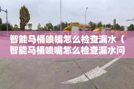 智能马桶喷嘴怎么检查漏水（智能马桶喷嘴怎么检查漏水问题）
