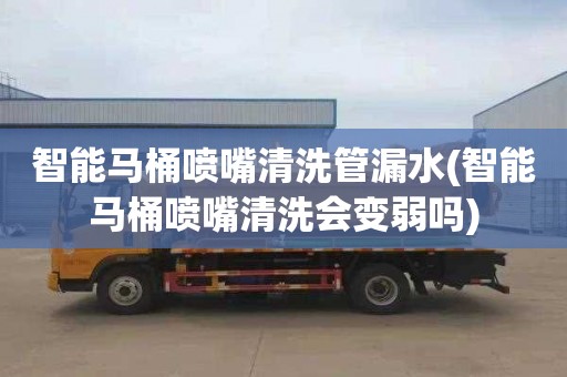 智能马桶喷嘴清洗管漏水(智能马桶喷嘴清洗会变弱吗)