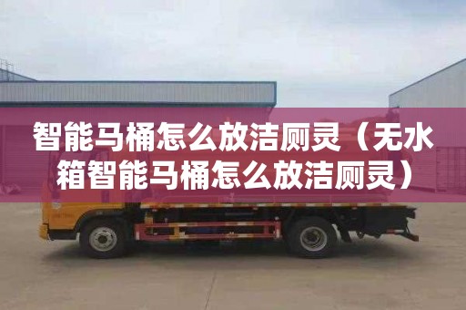 智能马桶怎么放洁厕灵（无水箱智能马桶怎么放洁厕灵）