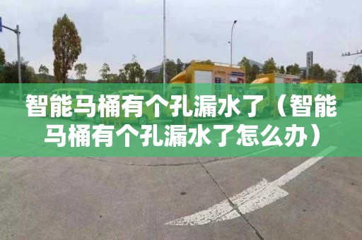 智能马桶有个孔漏水了（智能马桶有个孔漏水了怎么办）