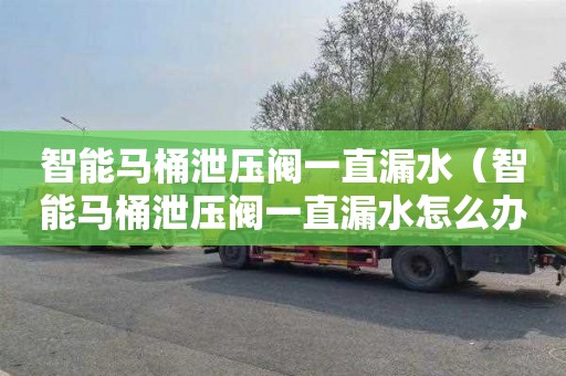 智能马桶泄压阀一直漏水（智能马桶泄压阀一直漏水怎么办）