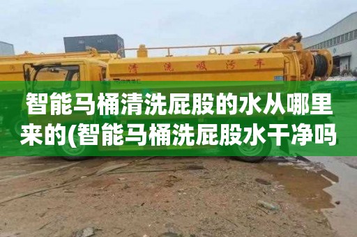 智能马桶清洗屁股的水从哪里来的(智能马桶洗屁股水干净吗怎么用)