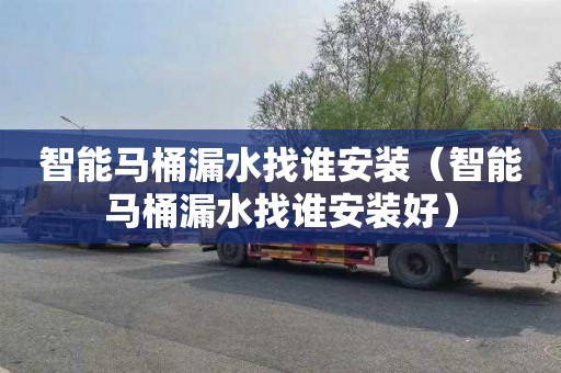 智能马桶漏水找谁安装（智能马桶漏水找谁安装好）