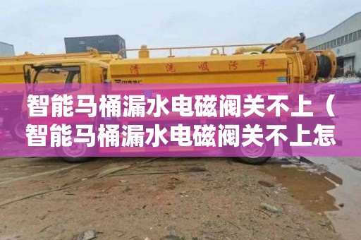智能马桶漏水电磁阀关不上（智能马桶漏水电磁阀关不上怎么办）