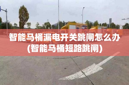 智能马桶漏电开关跳闸怎么办(智能马桶短路跳闸)