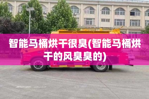 智能马桶烘干很臭(智能马桶烘干的风臭臭的)