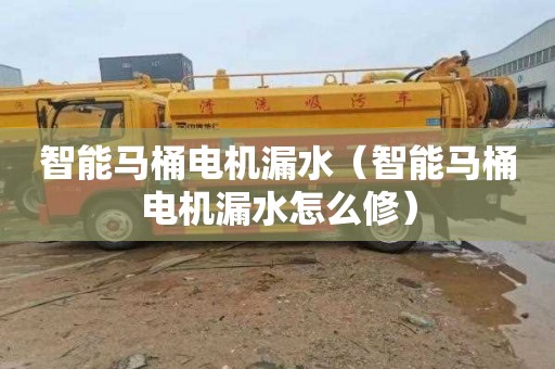 智能马桶电机漏水（智能马桶电机漏水怎么修）