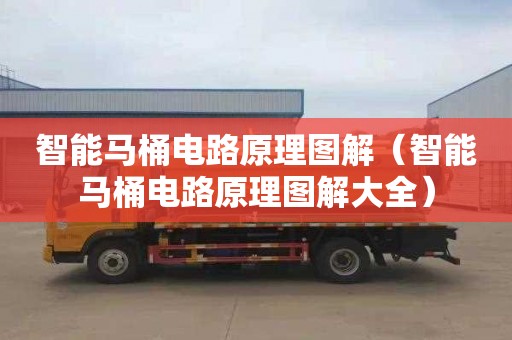 智能马桶电路原理图解（智能马桶电路原理图解大全）
