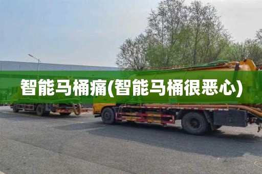 智能马桶痛(智能马桶很恶心)