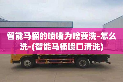 智能马桶的喷嘴为啥要洗-怎么洗-(智能马桶喷口清洗)