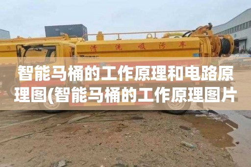 智能马桶的工作原理和电路原理图(智能马桶的工作原理图片)