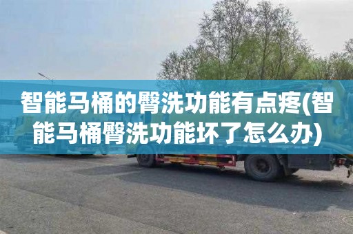 智能马桶的臀洗功能有点疼(智能马桶臀洗功能坏了怎么办)
