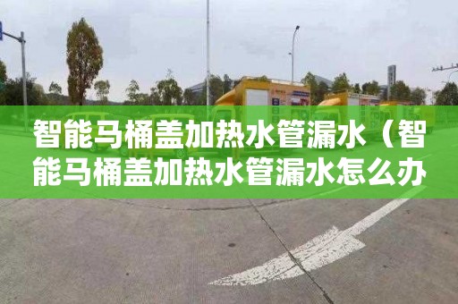 智能马桶盖加热水管漏水（智能马桶盖加热水管漏水怎么办）