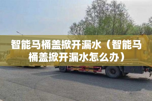 智能马桶盖掀开漏水（智能马桶盖掀开漏水怎么办）