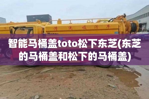 智能马桶盖toto松下东芝(东芝的马桶盖和松下的马桶盖)