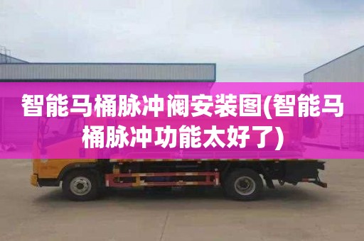 智能马桶脉冲阀安装图(智能马桶脉冲功能太好了)