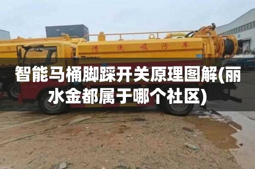智能马桶脚踩开关原理图解(丽水金都属于哪个社区)
