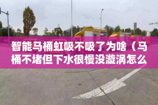 智能马桶虹吸不吸了为啥（马桶不堵但下水很慢没漩涡怎么办）