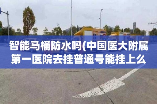 智能马桶防水吗(中国医大附属第一医院去挂普通号能挂上么)