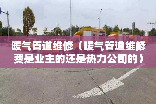 暖气管道维修（暖气管道维修费是业主的还是热力公司的）
