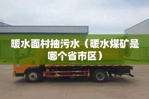 暖水面村抽污水（暖水煤矿是哪个省市区）