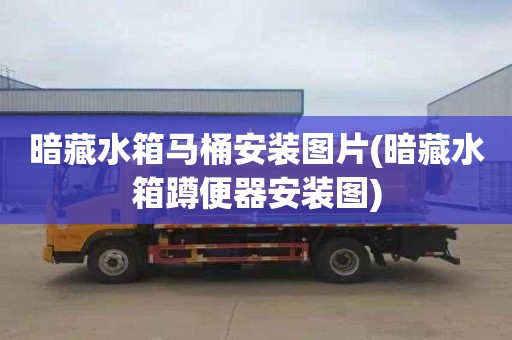 暗藏水箱马桶安装图片(暗藏水箱蹲便器安装图)