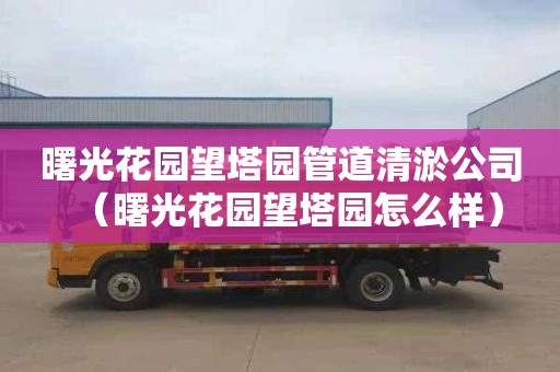 曙光花园望塔园管道清淤公司（曙光花园望塔园怎么样）