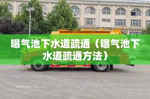 曝气池下水道疏通（曝气池下水道疏通方法）