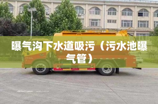 曝气沟下水道吸污（污水池曝气管）