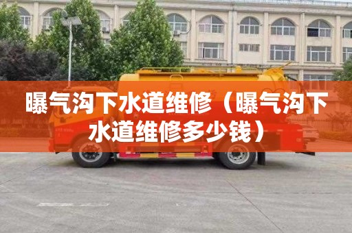 曝气沟下水道维修（曝气沟下水道维修多少钱）