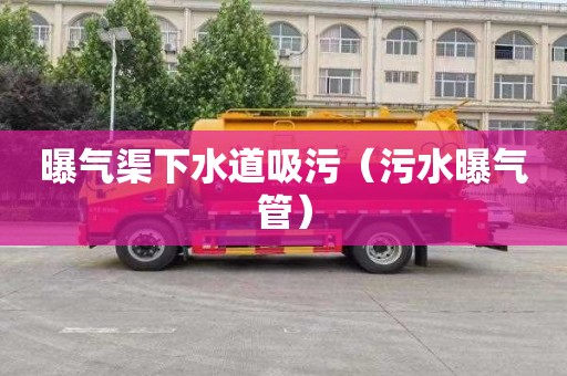 曝气渠下水道吸污（污水曝气管）