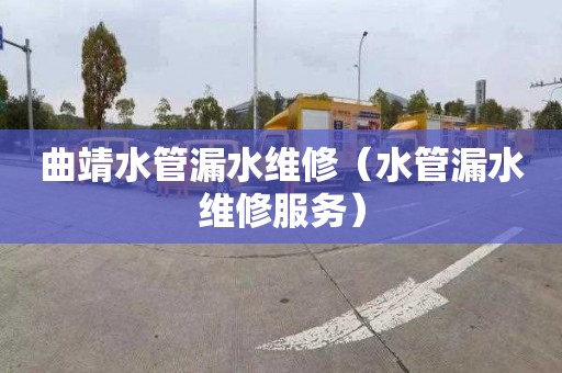 曲靖水管漏水维修（水管漏水维修服务）