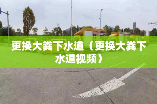 更换大粪下水道（更换大粪下水道视频）