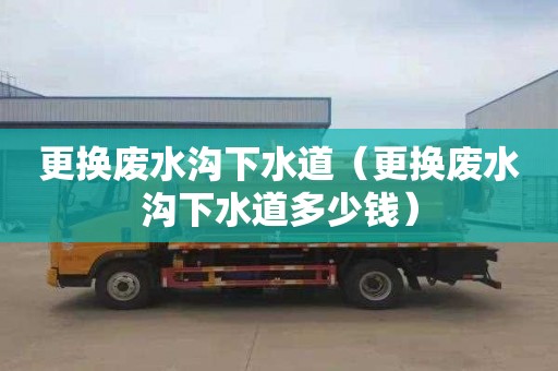 更换废水沟下水道（更换废水沟下水道多少钱）