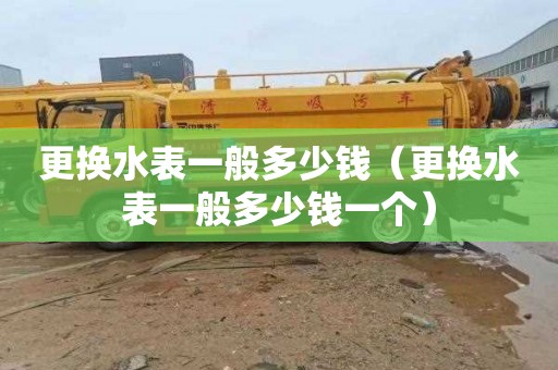 更换水表一般多少钱（更换水表一般多少钱一个）