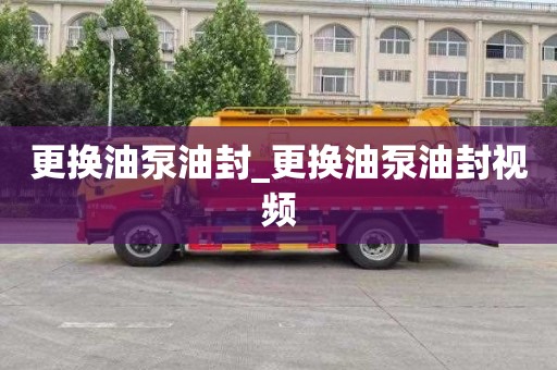 更换油泵油封_更换油泵油封视频