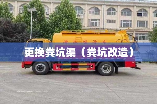 更换粪坑渠（粪坑改造）