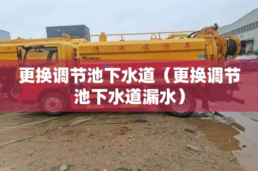 更换调节池下水道（更换调节池下水道漏水）
