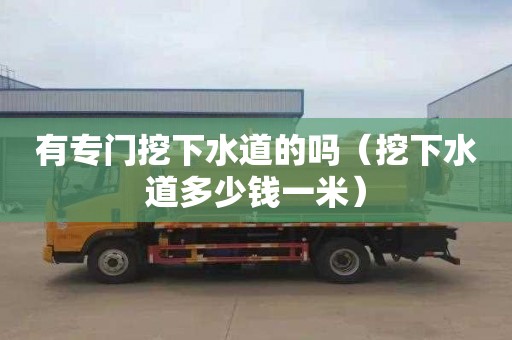 有专门挖下水道的吗（挖下水道多少钱一米）