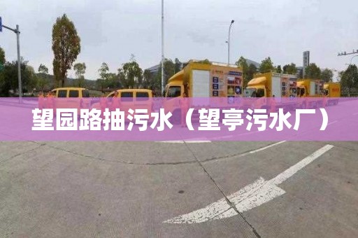 望园路抽污水（望亭污水厂）
