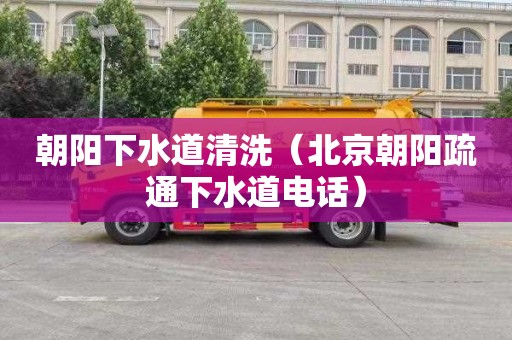 朝阳下水道清洗（北京朝阳疏通下水道电话）
