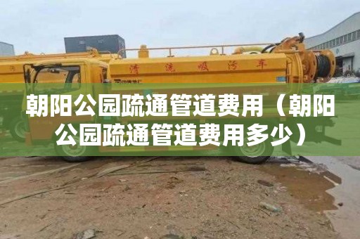 朝阳公园疏通管道费用（朝阳公园疏通管道费用多少）