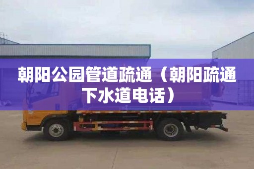 朝阳公园管道疏通（朝阳疏通下水道电话）