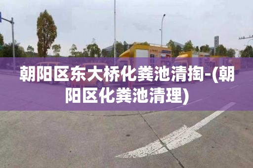 朝阳区东大桥化粪池清掏-(朝阳区化粪池清理)