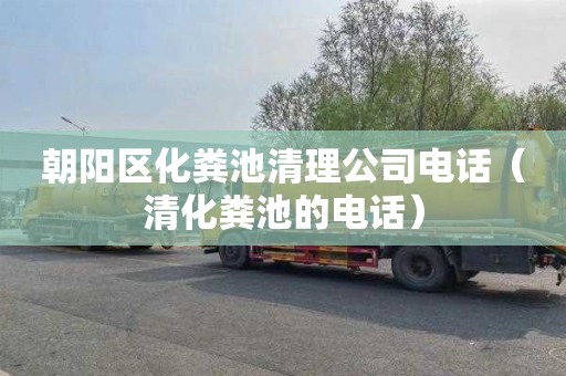 朝阳区化粪池清理公司电话（清化粪池的电话）